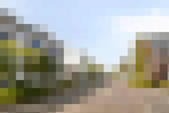 Vos 69 Veldhoven thumbnail 35