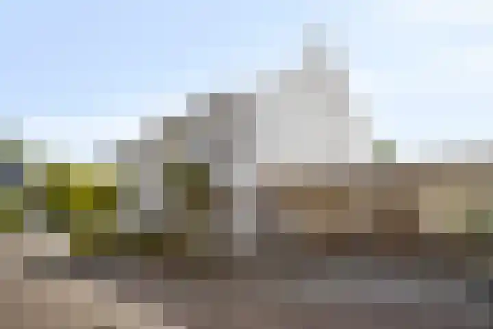Vos 69 Veldhoven thumbnail 36