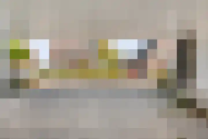 Vos 69 Veldhoven thumbnail 38