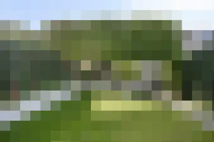 Vos 69 Veldhoven thumbnail 44