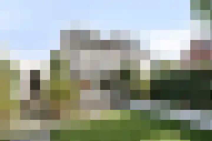 Vos 69 Veldhoven thumbnail 46