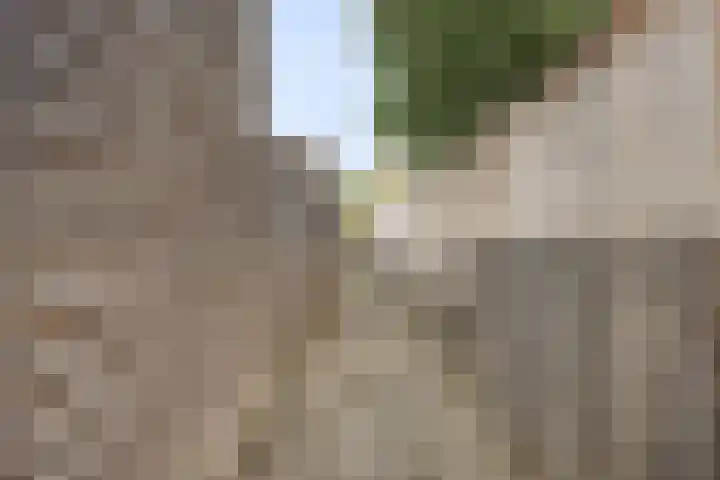 Vos 69 Veldhoven thumbnail 48