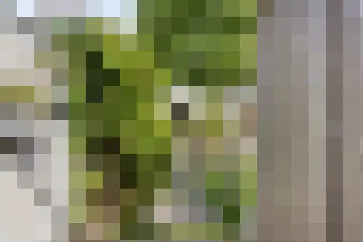 Vos 69 Veldhoven thumbnail 49