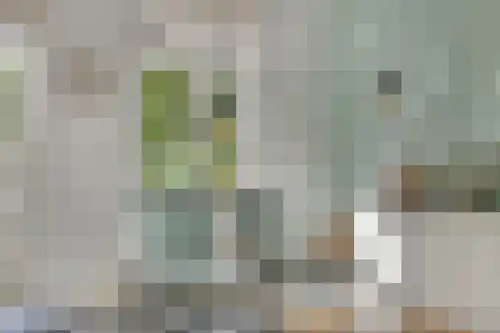 Vos 69 Veldhoven thumbnail 5