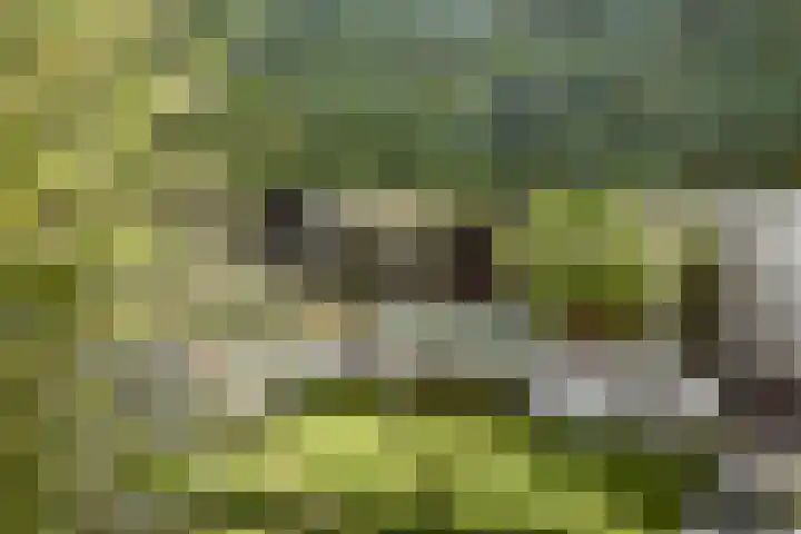 Vos 69 Veldhoven thumbnail 50