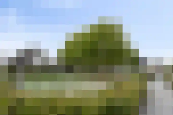 Vos 69 Veldhoven thumbnail 51