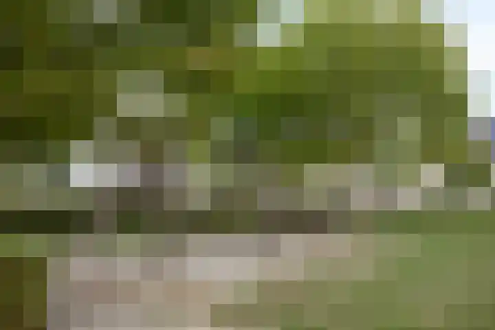 Vos 69 Veldhoven thumbnail 52