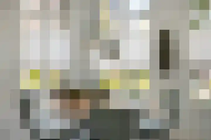 Vos 69 Veldhoven thumbnail 8