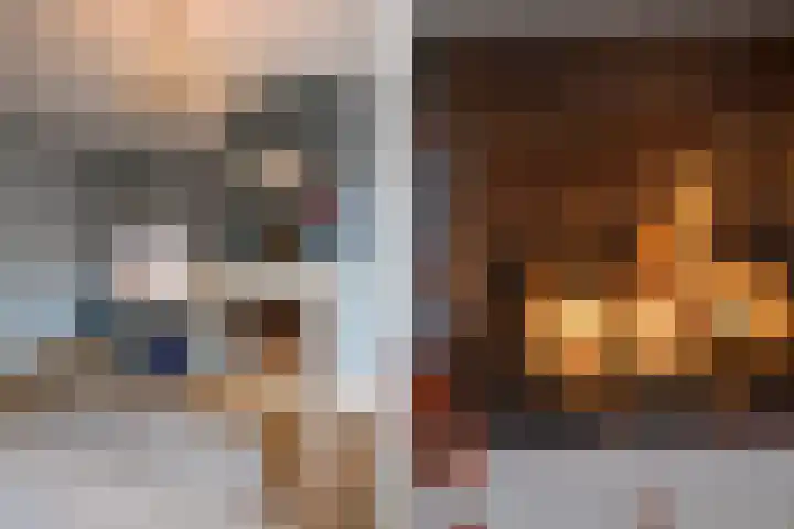 Vos 71 Veldhoven thumbnail 12