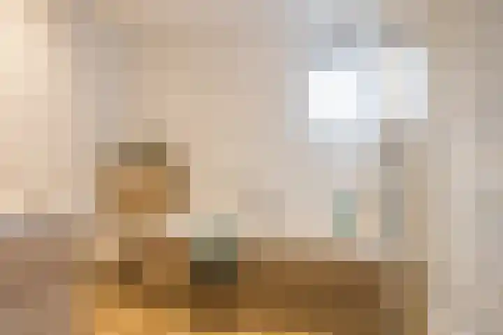 Vos 71 Veldhoven thumbnail 4