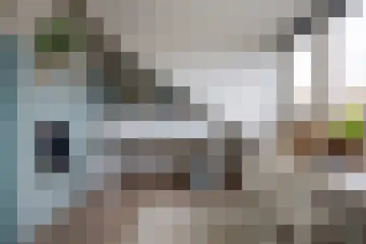 Vos 71 Veldhoven thumbnail 44