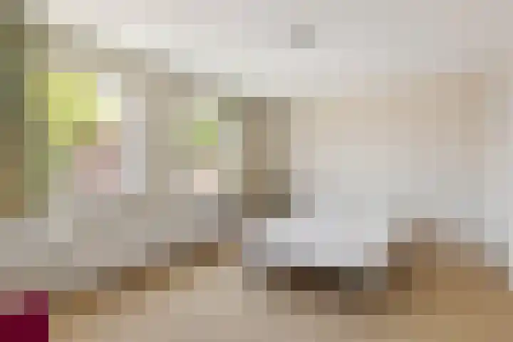 Vos de Waelstraat 1 Oldenzaal thumbnail 17