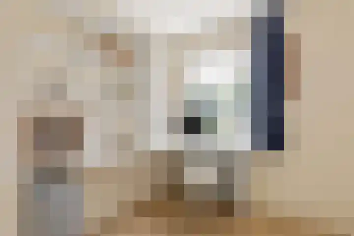 Vos de Waelstraat 1 Oldenzaal thumbnail 18