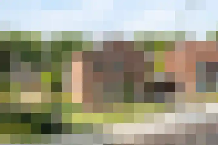 Vos de Waelstraat 1 Oldenzaal thumbnail 6