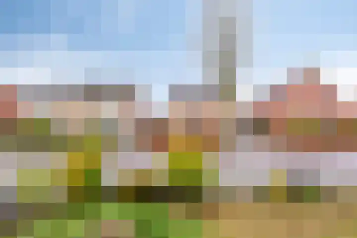 Vos de Waelstraat 3 Westervoort thumbnail 34