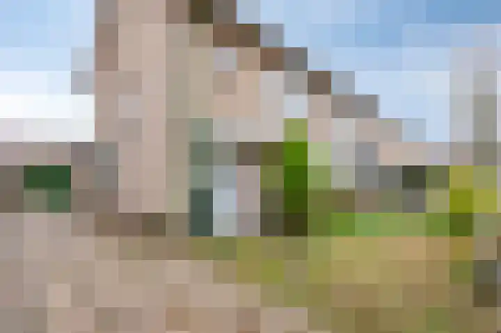 Vos de Waelstraat 3 Westervoort thumbnail 7
