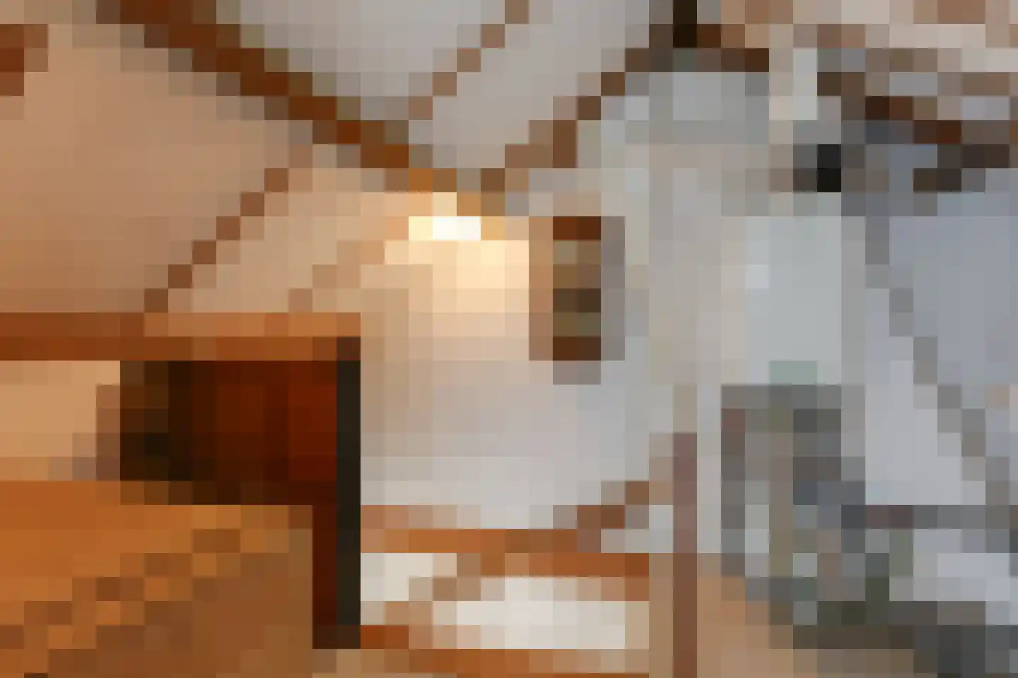 Vos de Waelstraat 6 Westervoort thumbnail 32