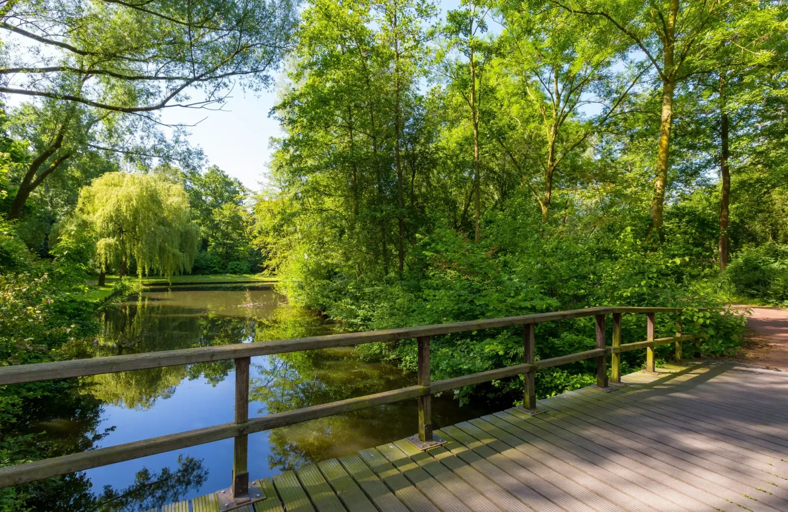 Photo d'équipe de Vos Makelaars