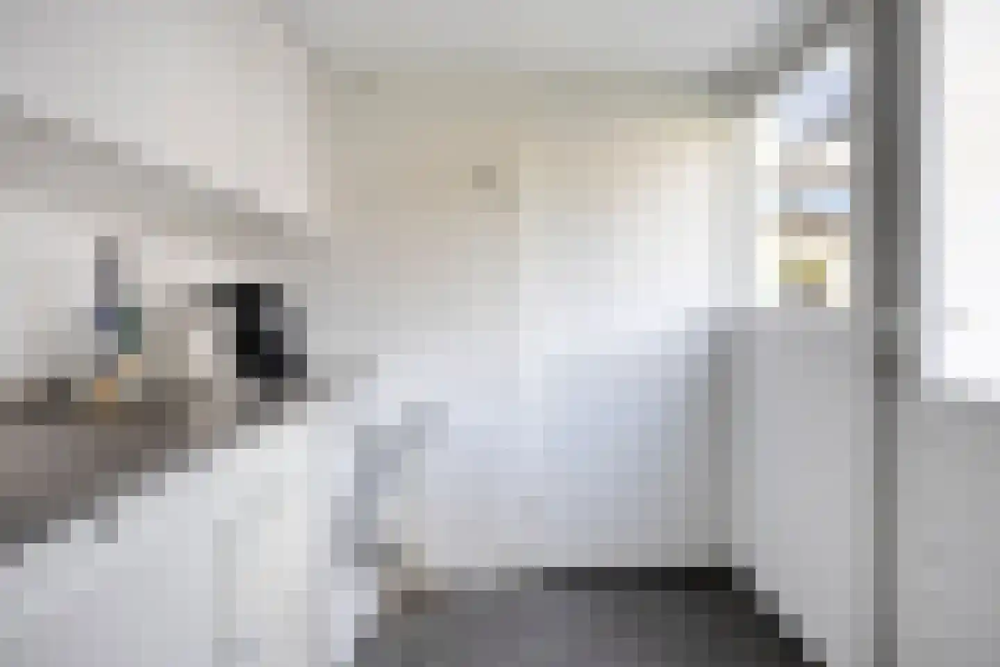 Vos van Heusdenstraat 5 Zwolle thumbnail 16