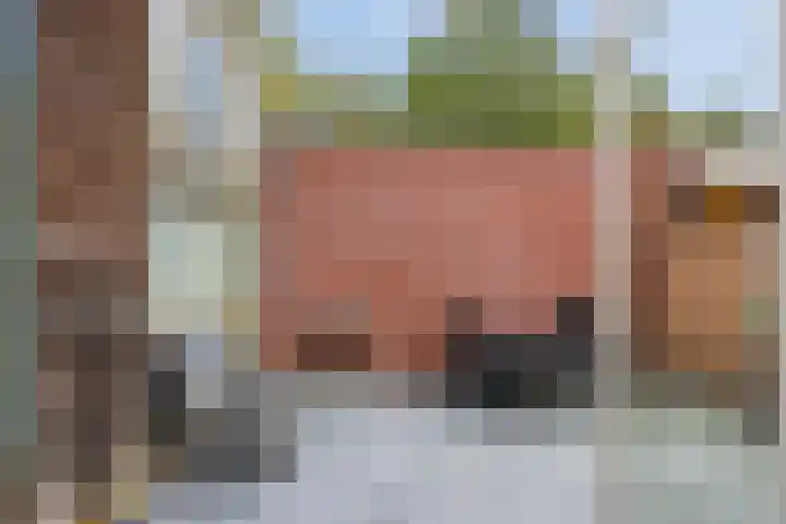 Vosackers 34 Emmen thumbnail 30