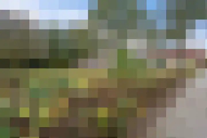 Vosackers 34 Emmen thumbnail 5