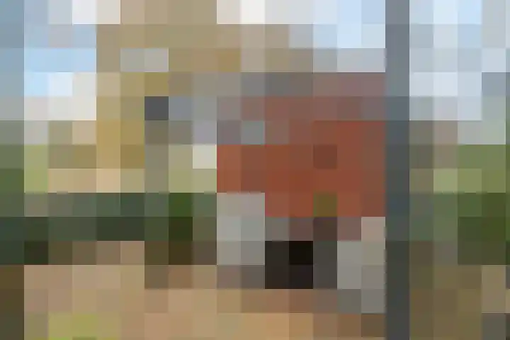Vosackers 35 Emmen thumbnail 29