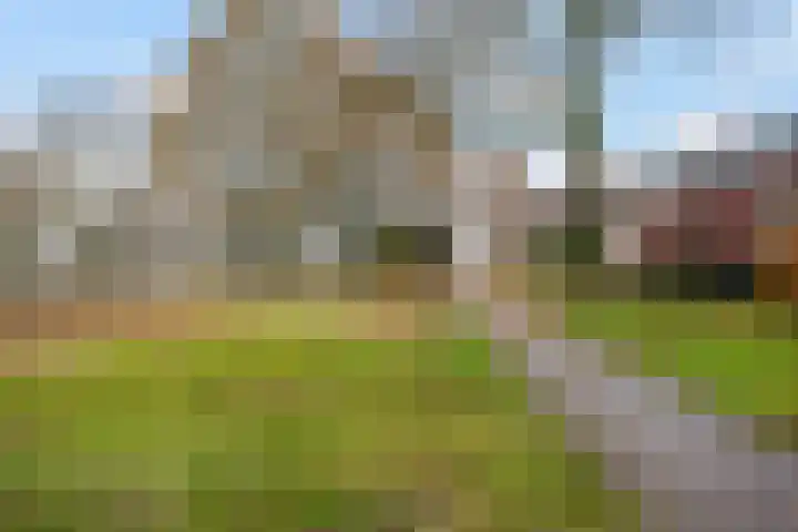Vosackers 35 Emmen thumbnail 32