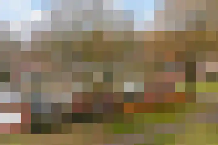 Vosackers 35 Emmen thumbnail 34