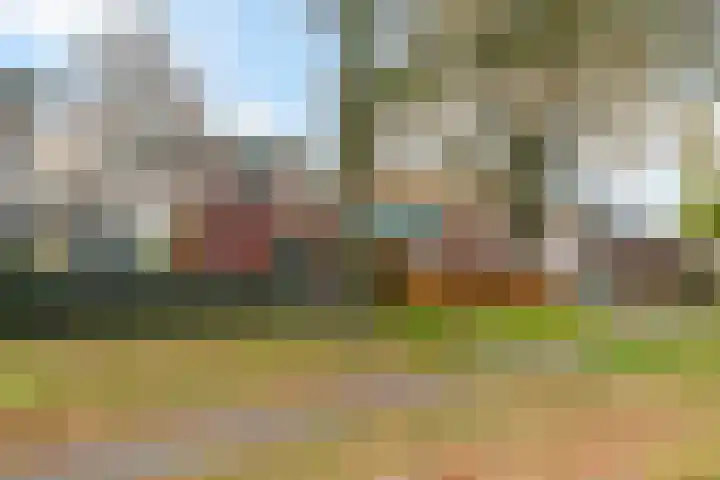 Vosackers 35 Emmen thumbnail 37
