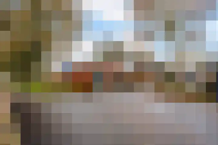 Vosackers 35 Emmen thumbnail 43
