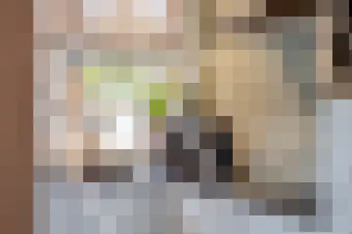 Vosakkerstraat 3 Deventer thumbnail 11
