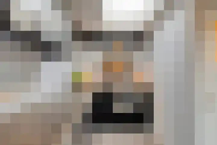 Vosakkerstraat 30 Deventer thumbnail 9