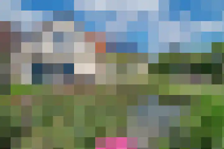 Vosberg 8 Kruisland thumbnail 41