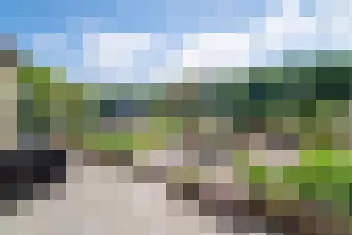 Vosberg 8 Kruisland thumbnail 42