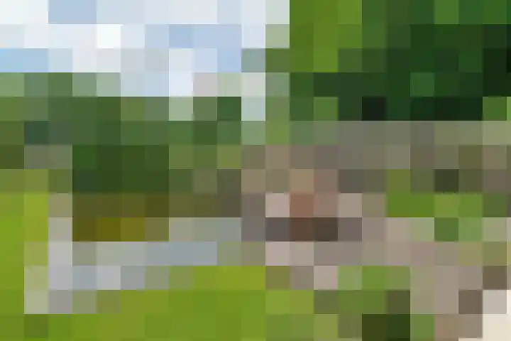 Vosberg 8 Kruisland thumbnail 43