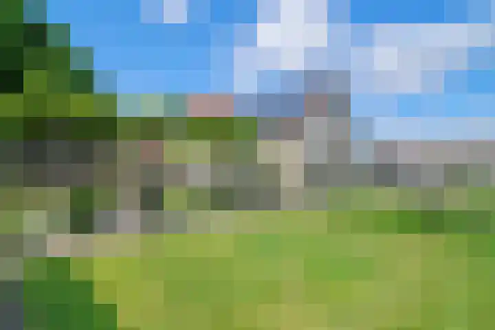 Vosberg 8 Kruisland thumbnail 46