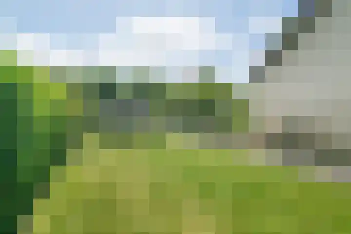 Vosberg 8 Kruisland thumbnail 47