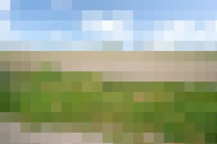 Vosberg 8 Kruisland thumbnail 57