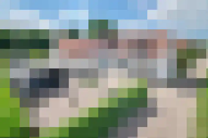 Vosberg 8 Kruisland thumbnail 74