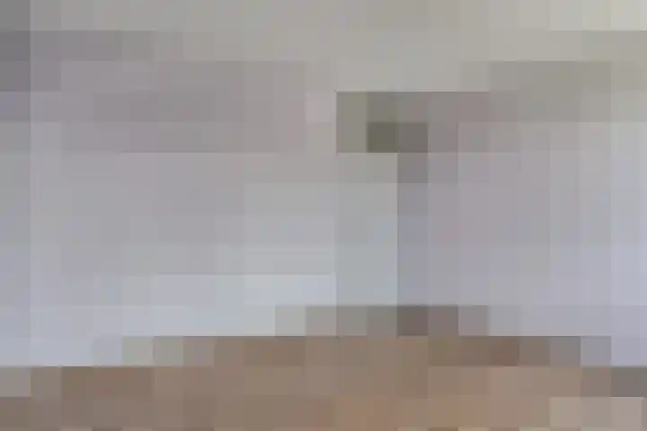 Vosbergen 11 Zwijndrecht thumbnail 15