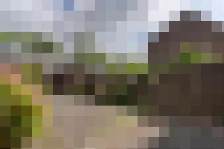 Vosbergen 11 Zwijndrecht thumbnail 23
