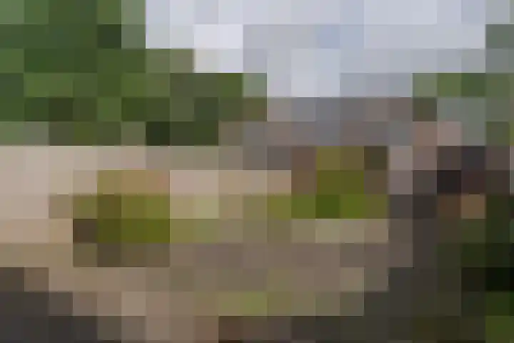 Vosbergen 11 Zwijndrecht thumbnail 24