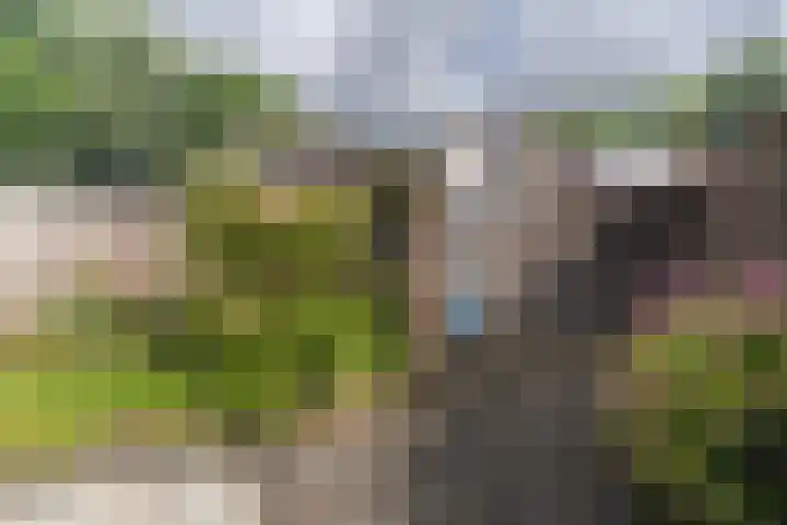 Vosbergen 11 Zwijndrecht thumbnail 25