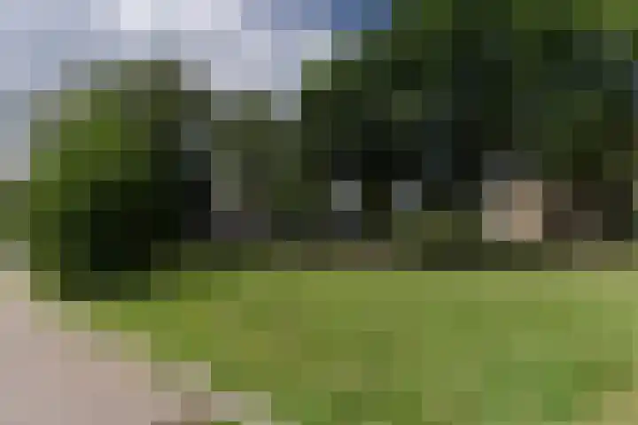 Vosbergen 11 Zwijndrecht thumbnail 29
