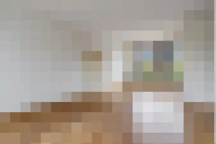 Vosbergen 11 Zwijndrecht thumbnail 4