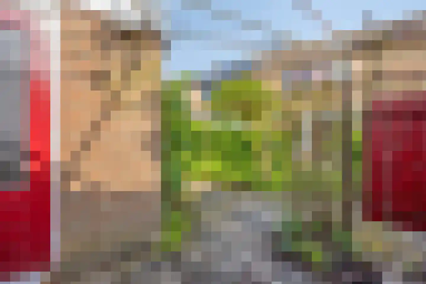 Vosbergen 12 Zwijndrecht thumbnail 32