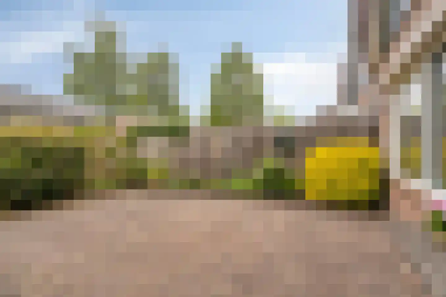 Vosbergen 28 Ugchelen thumbnail 14