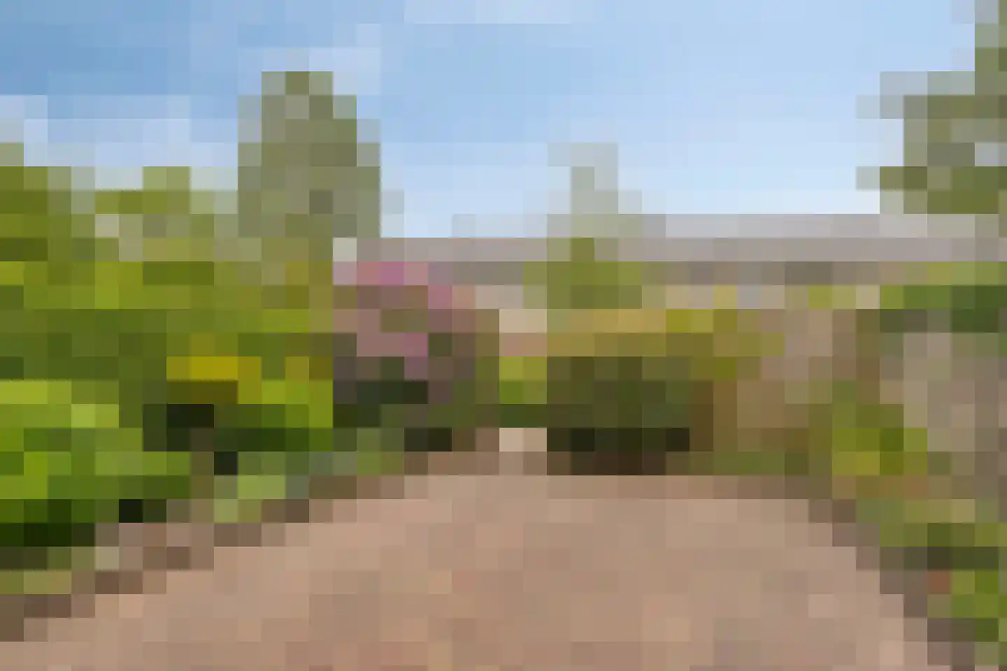 Vosbergen 28 Ugchelen thumbnail 15