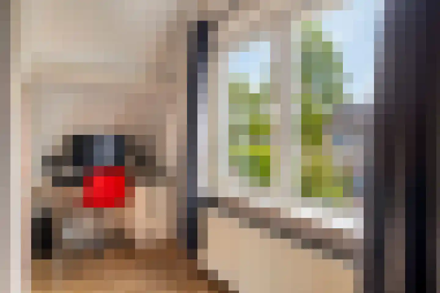 Vosbergen 28 Ugchelen thumbnail 21