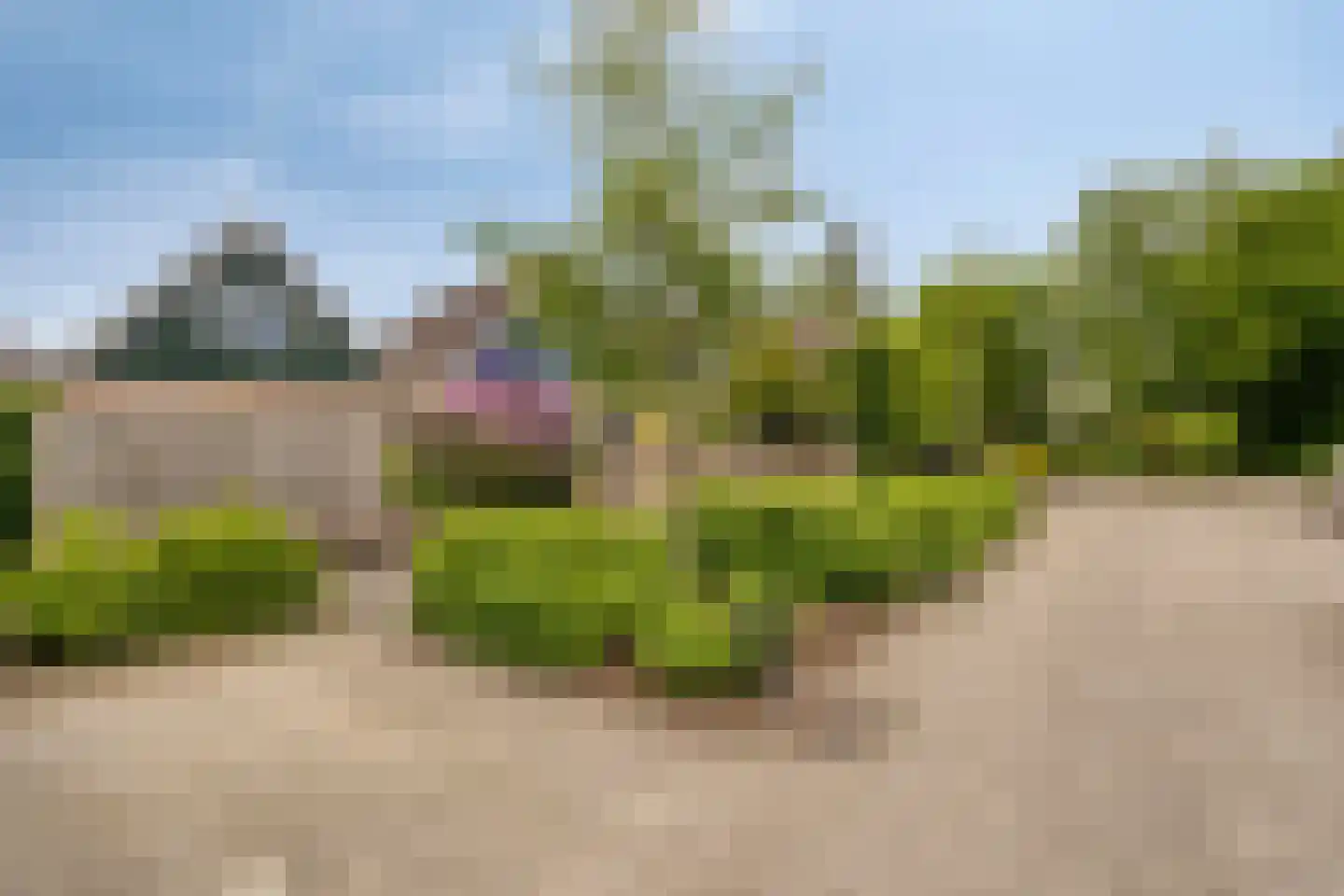 Vosbergen 28 Ugchelen thumbnail 25